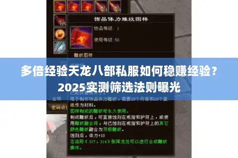 多倍经验天龙八部私服如何稳赚经验?2025实测筛选法则曝光 多倍经验天龙八部私服如何稳赚经验?2025实测筛选法则曝光