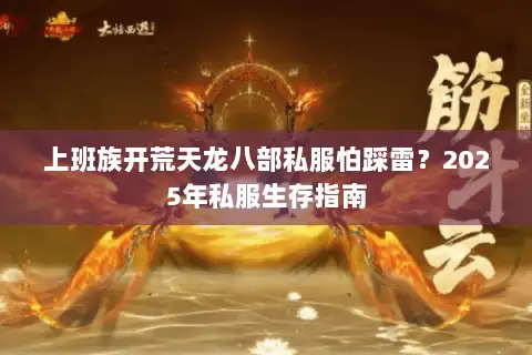 上班族开荒天龙八部私服怕踩雷？2025年私服生存指南