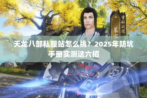 天龙八部私服站怎么挑？2025年防坑手册实测这六招