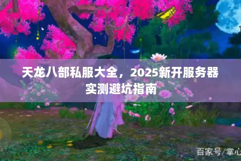 天龙八部私服大全，2025新开服务器实测避坑指南