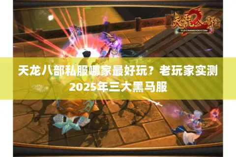 天龙八部私服哪家最好玩?老玩家实测2025年三大黑马服 天龙八部私服哪家最好玩?老玩家实测2025年三大黑马服