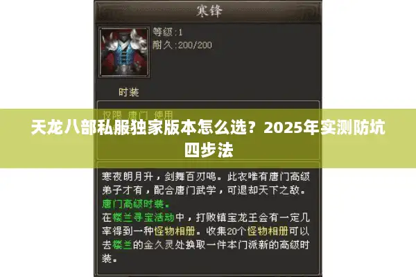 天龙八部私服独家版本怎么选？2025年实测防坑四步法