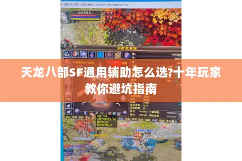 天龙八部SF通用辅助怎么选?十年玩家教你避坑指南 天龙八部SF通用辅助怎么选?十年玩家教你避坑指南