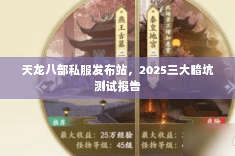 天龙八部私服发布站,2025三大暗坑测试报告 天龙八部私服发布站,2025三大暗坑测试报告