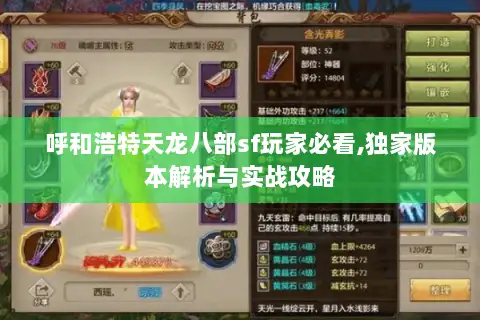 呼和浩特天龙八部sf玩家必看,独家版本解析与实战攻略 呼和浩特天龙八部sf玩家必看,独家版本解析与实战攻略