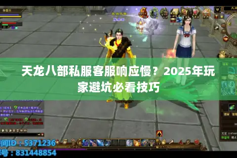 天龙八部私服客服响应慢？2025年玩家避坑必看技巧
