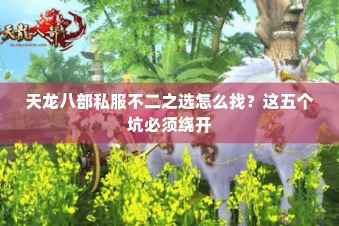 天龙八部私服不二之选怎么找？这五个坑必须绕开