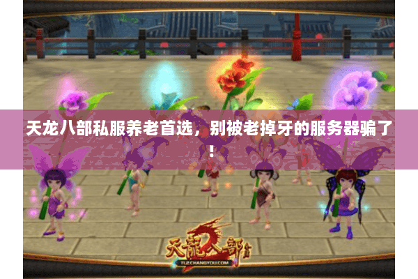 天龙八部私服养老首选，别被老掉牙的服务器骗了！