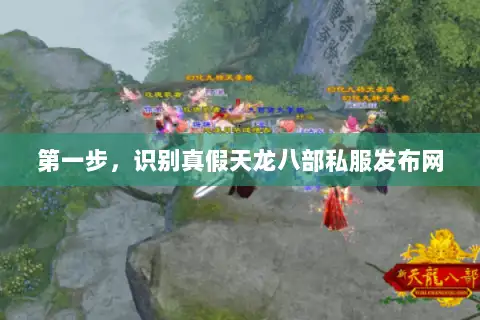 第一步,识别真假天龙八部私服发布网 第一步,识别真假天龙八部私服发布网