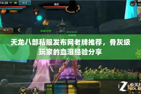 天龙八部私服发布网老牌推荐，骨灰级玩家的血泪经验分享