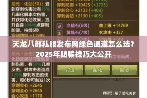 天龙八部私服发布网绿色通道怎么选？2025年防骗技巧大公开