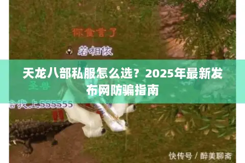 天龙八部私服怎么选？2025年最新发布网防骗指南