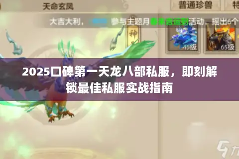 2025口碑第一天龙八部私服，即刻解锁最佳私服实战指南