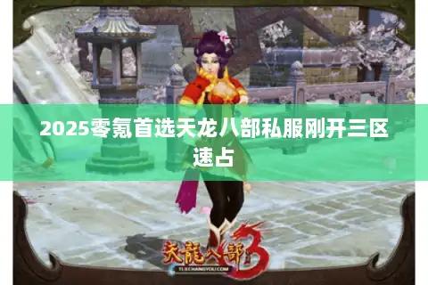 2025零氪首选天龙八部私服刚开三区速占