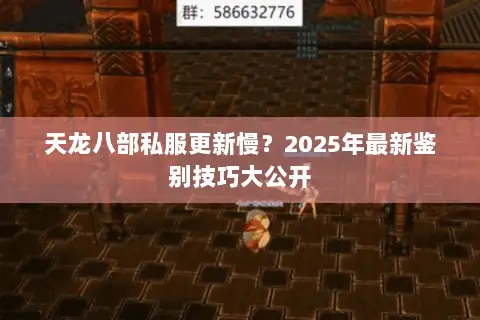 天龙八部私服更新慢？2025年最新鉴别技巧大公开