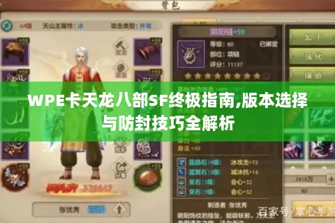 WPE卡天龙八部SF终极指南,版本选择与防封技巧全解析 WPE卡天龙八部SF终极指南,版本选择与防封技巧全解析
