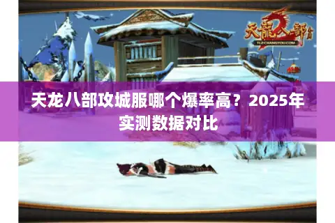 天龙八部攻城服哪个爆率高？2025年实测数据对比