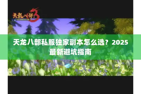 天龙八部私服独家副本怎么选？2025最新避坑指南