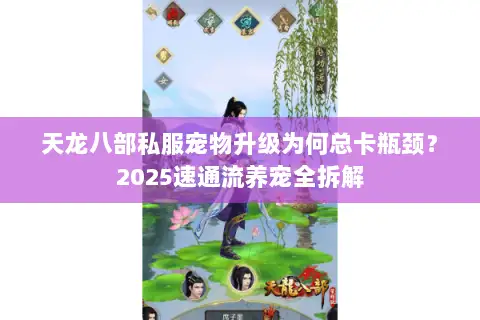 天龙八部私服宠物升级为何总卡瓶颈？2025速通流养宠全拆解