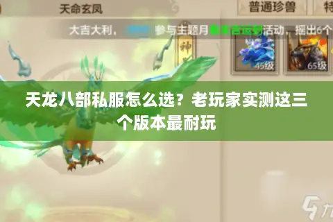 天龙八部私服怎么选？老玩家实测这三个版本最耐玩