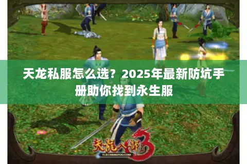 天龙私服怎么选？2025年最新防坑手册助你找到永生服