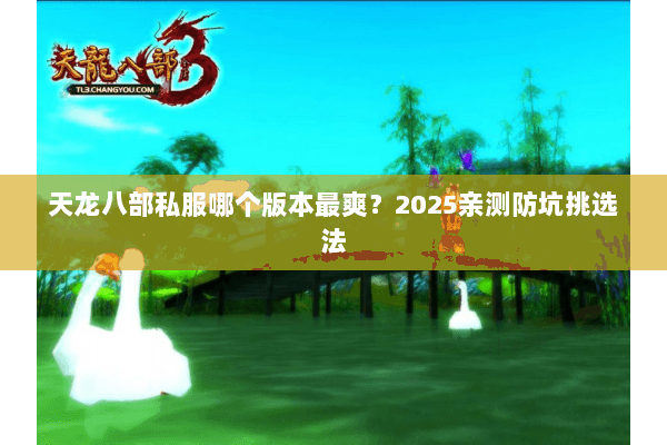 天龙八部私服哪个版本最爽?2025亲测防坑挑选法 天龙八部私服哪个版本最爽?2025亲测防坑挑选法