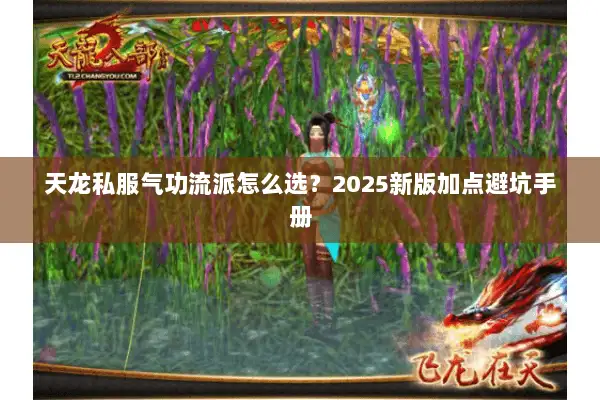 天龙私服气功流派怎么选?2025新版加点避坑手册 天龙私服气功流派怎么选?2025新版加点避坑手册