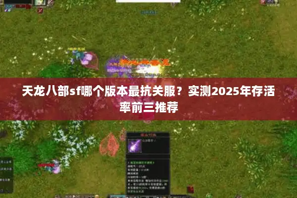 天龙八部sf哪个版本最抗关服？实测2025年存活率前三推荐