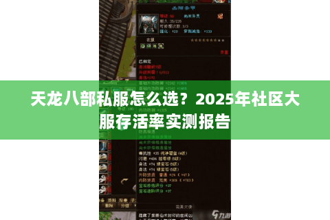 天龙八部私服怎么选？2025年社区大服存活率实测报告
