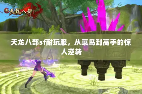 天龙八部sf耐玩服,从菜鸟到高手的惊人逆转 天龙八部sf耐玩服,从菜鸟到高手的惊人逆转