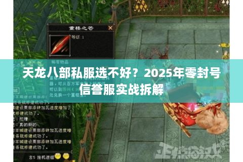 天龙八部私服选不好?2025年零封号信誉服实战拆解 天龙八部私服选不好?2025年零封号信誉服实战拆解