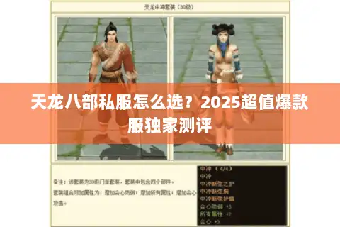 天龙八部私服怎么选？2025超值爆款服独家测评