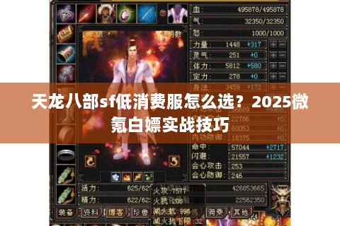 天龙八部sf低消费服怎么选？2025微氪白嫖实战技巧