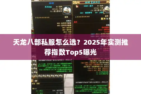 天龙八部私服怎么选？2025年实测推荐指数Top5曝光