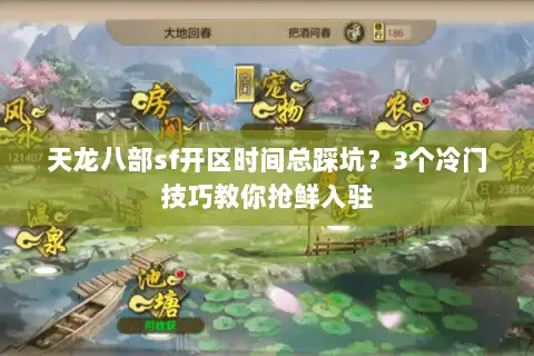 天龙八部sf开区时间总踩坑？3个冷门技巧教你抢鲜入驻