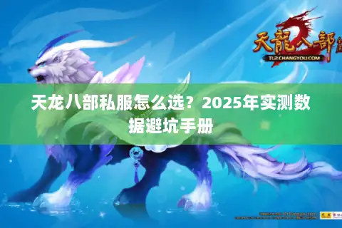 天龙八部私服怎么选？2025年实测数据避坑手册