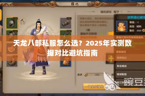 天龙八部私服怎么选?2025年实测数据对比避坑指南 天龙八部私服怎么选?2025年实测数据对比避坑指南