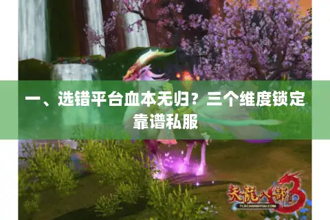 一、选错平台血本无归?三个维度锁定靠谱私服 一、选错平台血本无归?三个维度锁定靠谱私服