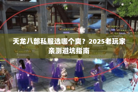 天龙八部私服选哪个爽?2025老玩家亲测避坑指南 天龙八部私服选哪个爽?2025老玩家亲测避坑指南