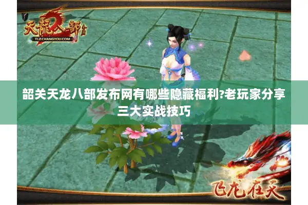 韶关天龙八部发布网有哪些隐藏福利?老玩家分享三大实战技巧
