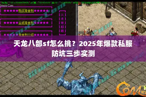 天龙八部sf怎么挑？2025年爆款私服防坑三步实测