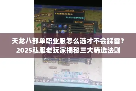 天龙八部单职业服怎么选才不会踩雷？2025私服老玩家揭秘三大筛选法则