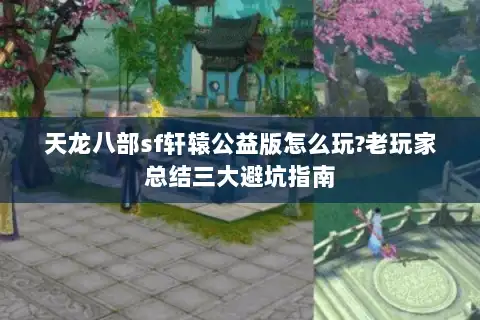 天龙八部sf轩辕公益版怎么玩?老玩家总结三大避坑指南 天龙八部sf轩辕公益版怎么玩?老玩家总结三大避坑指南