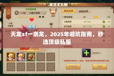 天龙sf一条龙，2025年避坑指南，秒选顶级私服