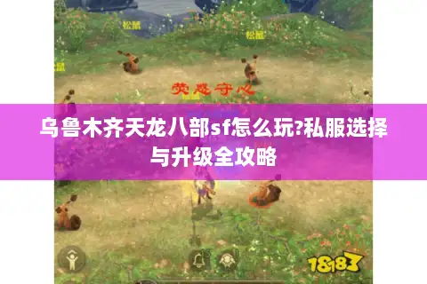 乌鲁木齐天龙八部sf怎么玩?私服选择与升级全攻略 乌鲁木齐天龙八部sf怎么玩?私服选择与升级全攻略