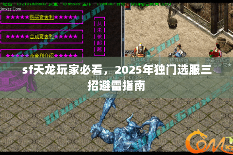 sf天龙玩家必看,2025年独门选服三招避雷指南 sf天龙玩家必看,2025年独门选服三招避雷指南
