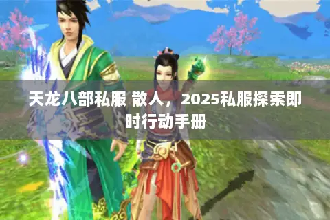 天龙八部私服 散人，2025私服探索即时行动手册