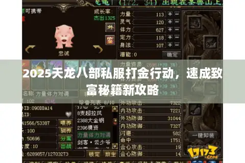 2025天龙八部私服打金行动，速成致富秘籍新攻略