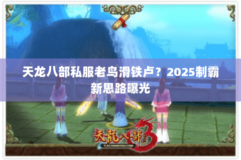 天龙八部私服老鸟滑铁卢？2025制霸新思路曝光