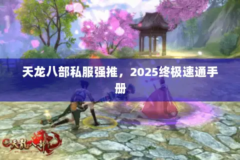 天龙八部私服强推，2025终极速通手册
